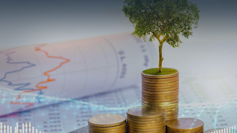 市场分析是可行性研究报告中最为基础的部分。评审时应重点关注以下方面：